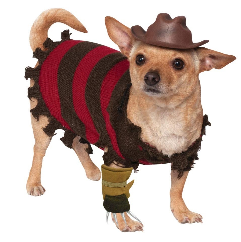 Freddy Krueger Pet Costume size Med